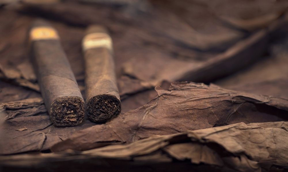 How Do You Start a Cigar Collection?