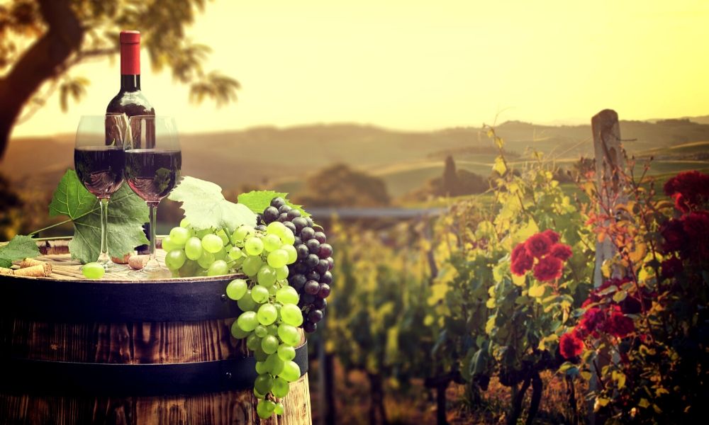Tips for Starting Your Own Winery